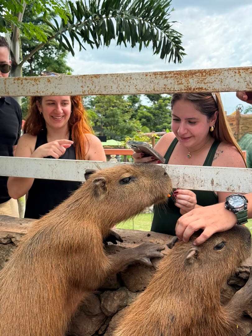 Visitantes dando de comer a las capibaras